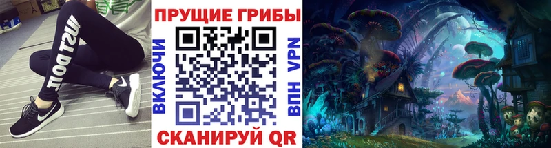 Псилоцибиновые грибы Psilocybine cubensis  Долгопрудный 